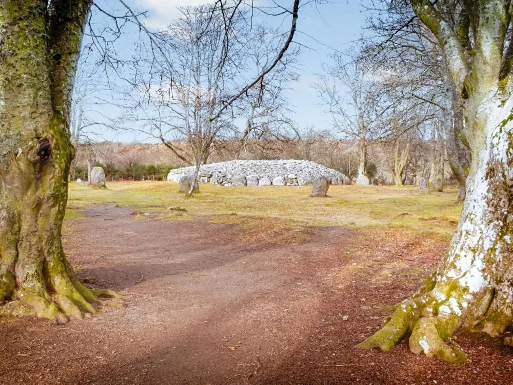 a dirt road in a park with trees and a building at Guisachan Lodge at Lochletter Lodges in Drumnadrochit