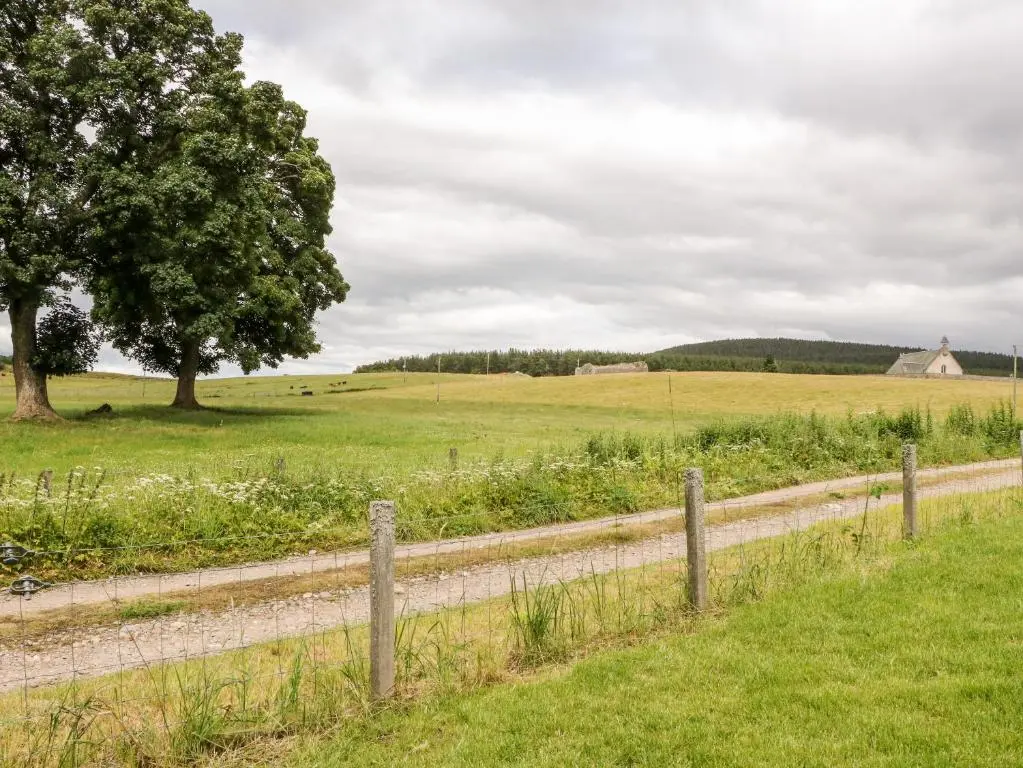 a dirt road in a field with a tree at Ulla Dhu in Nethy Bridge