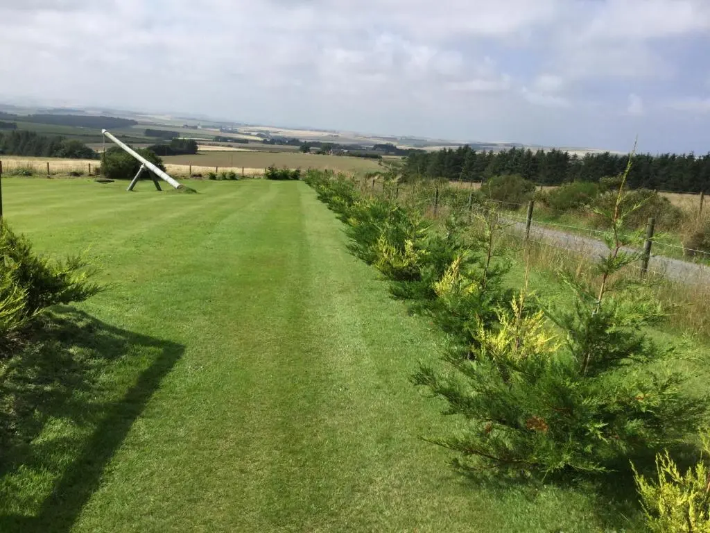 a christmas tree farm in the middle of a field at Orange Yurt with Hot Tub- Sleeps 3 Parking & Pets in Turriff