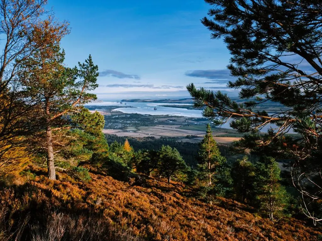 a view from the top of a hill with trees at The Dalmore Pod in Alness