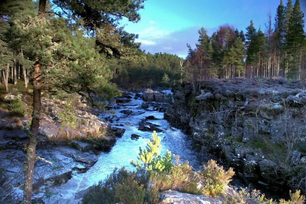 a river in the middle of a forest at Rosemount Cottage TWO - Highland Cottage in Garve