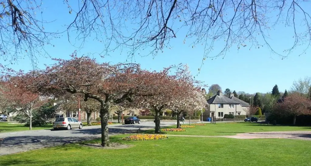 two trees in a park with a house in the background at Jane's Cottage Free Parking in Inverness