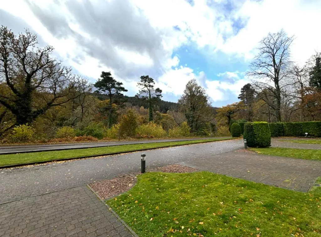 an empty road in a park on a cloudy day at SCOTTISH HIGHLANDS Superb 2 bedroom apartment. in Invergarry