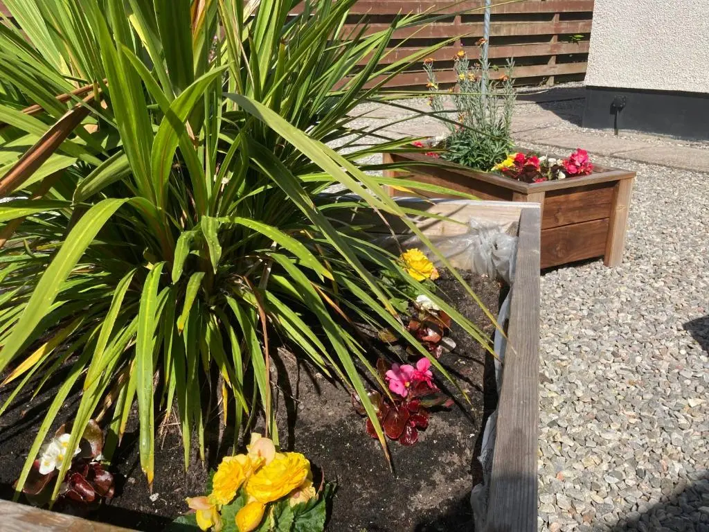 a garden with some plants and some flowers at 'Edgewood' - spacious detached bungalow in Inverness