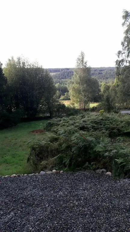 a grassy field with bushes and trees in the background at Torgoyle Cottage in Inverness