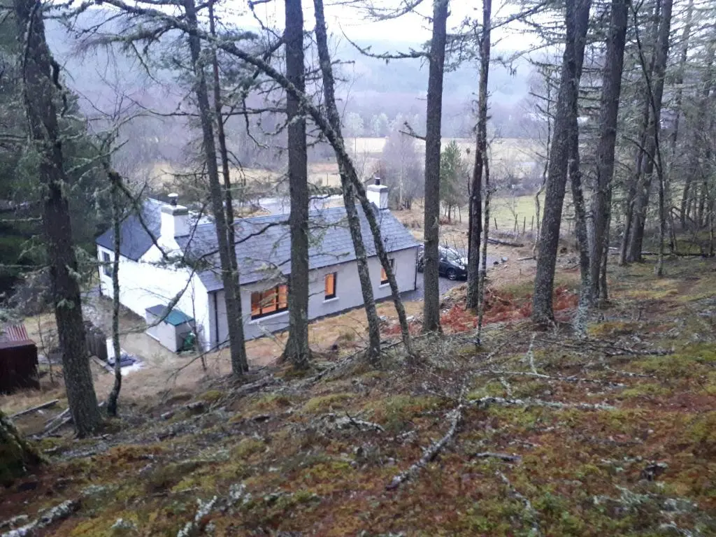 a house in the woods with snow on the roof at Torgoyle Cottage in Inverness