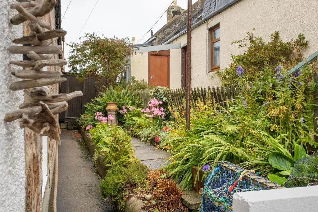 a garden with a fence and some plants at Seaside cottage on Moray coast in Portknockie