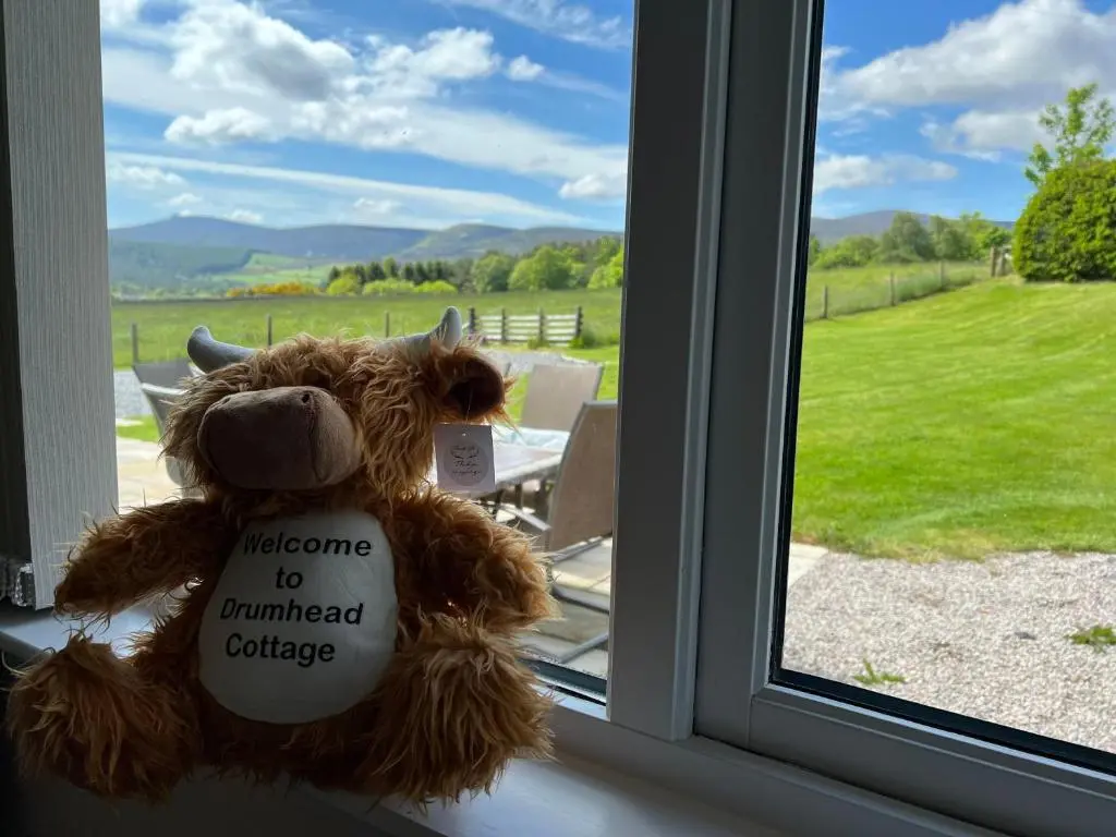 a teddy bear sitting in a window with a sign on it at Drumhead Cottage Finzean, Banchory Aberdeenshire Self Catering with Hot Tub in Finzean