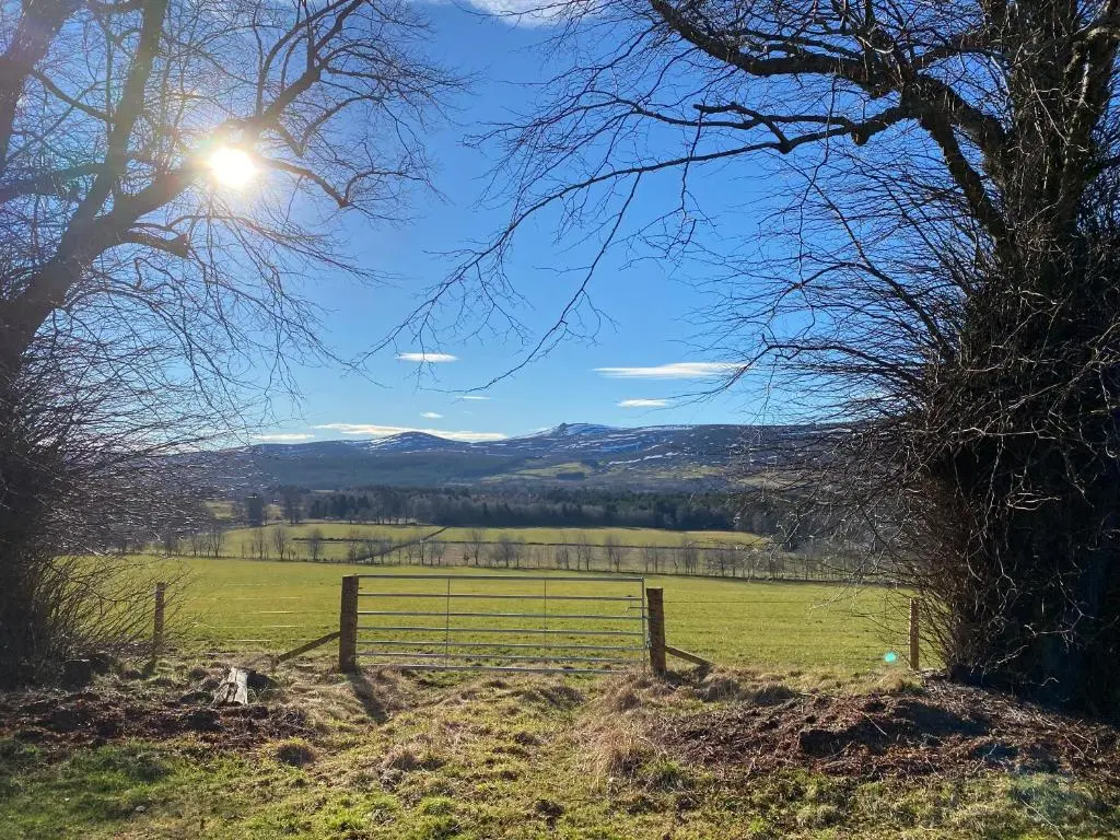 a pasture with a fence and a dog in a field at Drumhead Cottage Finzean, Banchory Aberdeenshire Self Catering with Hot Tub in Finzean