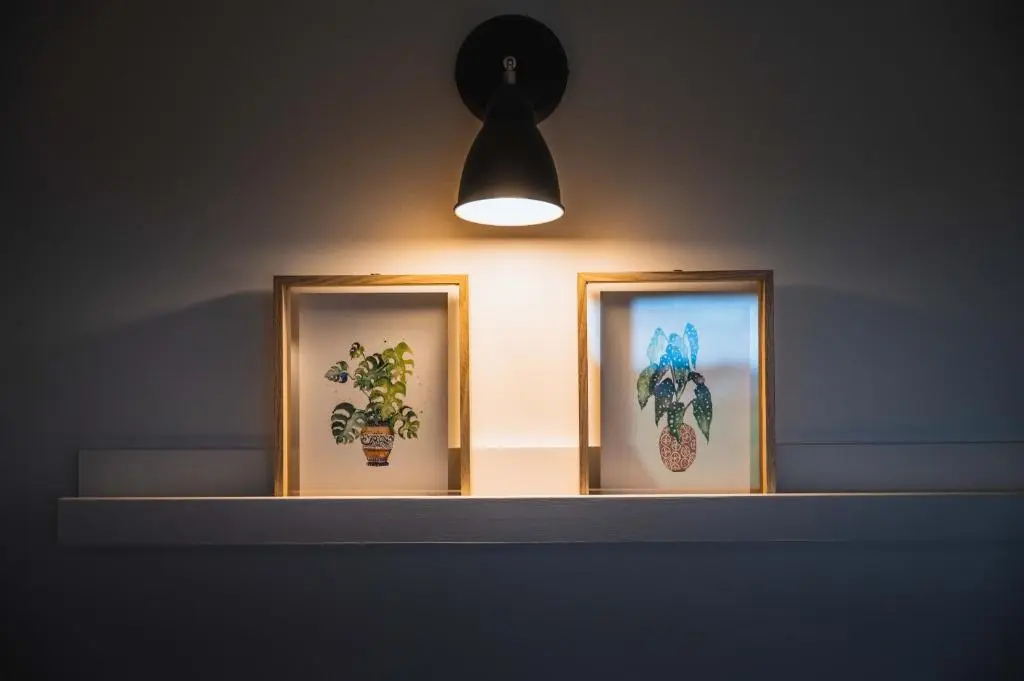three pictures of plants on a shelf under a light fixture at Drumdry in Wick