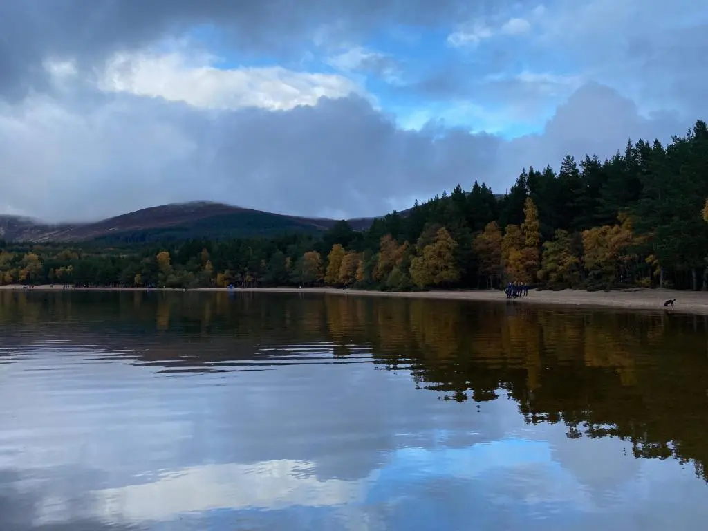 a view of a lake with trees in the background at Ardenbeg in Grantown on Spey
