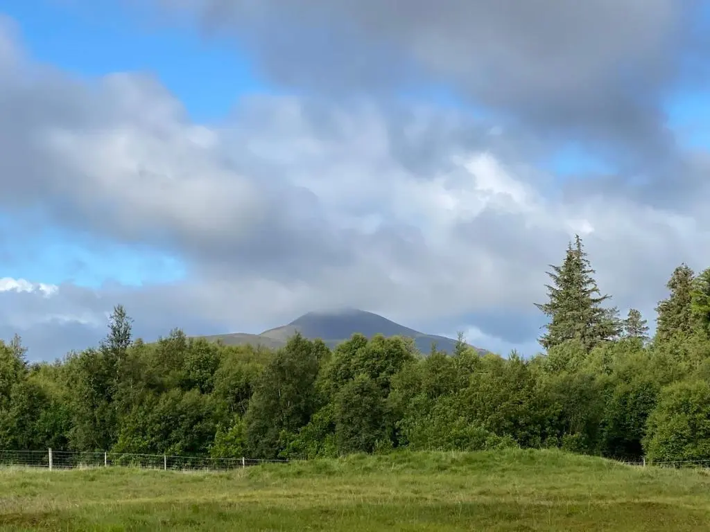 a field with trees and a mountain in the background at Forsinard Lodge in Forsinard