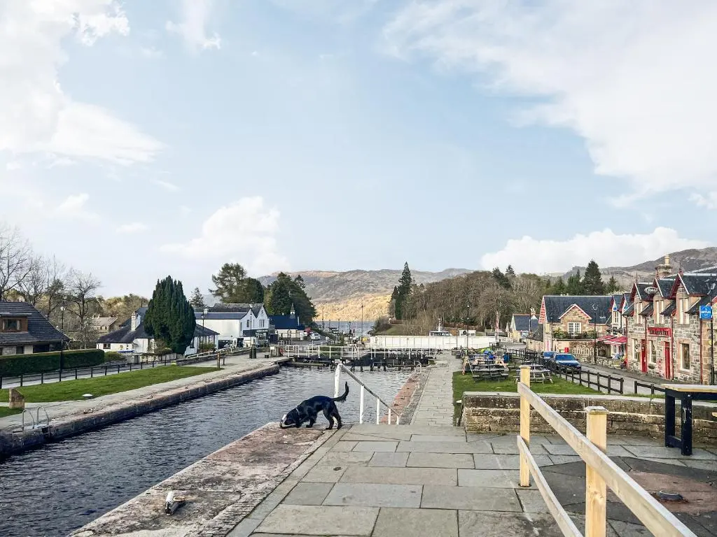 a cat sitting on the edge of a canal at Westerdales in Fort Augustus