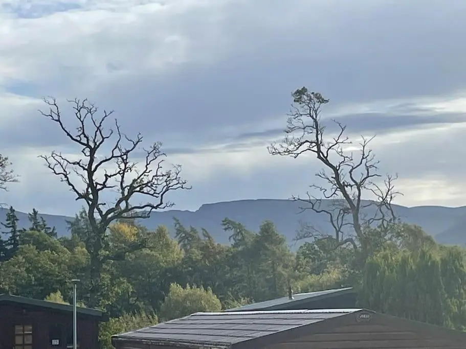 a roof of a building with trees and mountains in the background at Freedom Lodge-Aviemore with FREE Starlink Superfast broadband 150mbps - All bedding and towels included - Pet Free in Aviemore