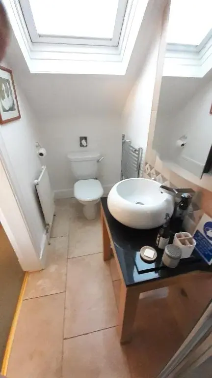 a bathroom with a sink and a toilet with a skylight at Trafford Bank Guest House in South Kessock