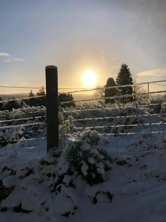 a snow covered field with the sun in the background at Woodside Cabin in Inverness