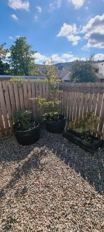 three potted plants sitting in front of a fence at The Shelter Stone Cottage in Aviemore