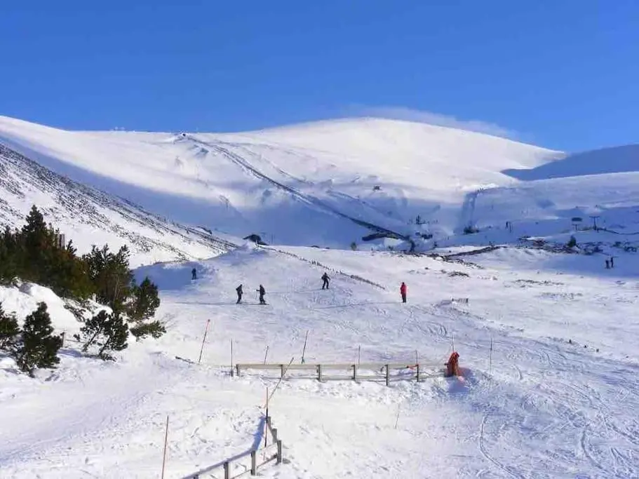 a group of people skiing down a snow covered slope at Stewart's Cottage, Aviemore Centre in Aviemore