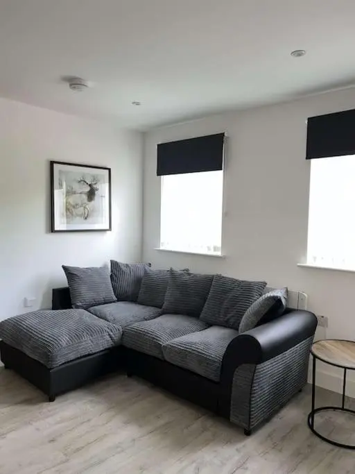 a black couch in a living room with two windows at Lovely one bed, open plan studio apartment. in Culloden