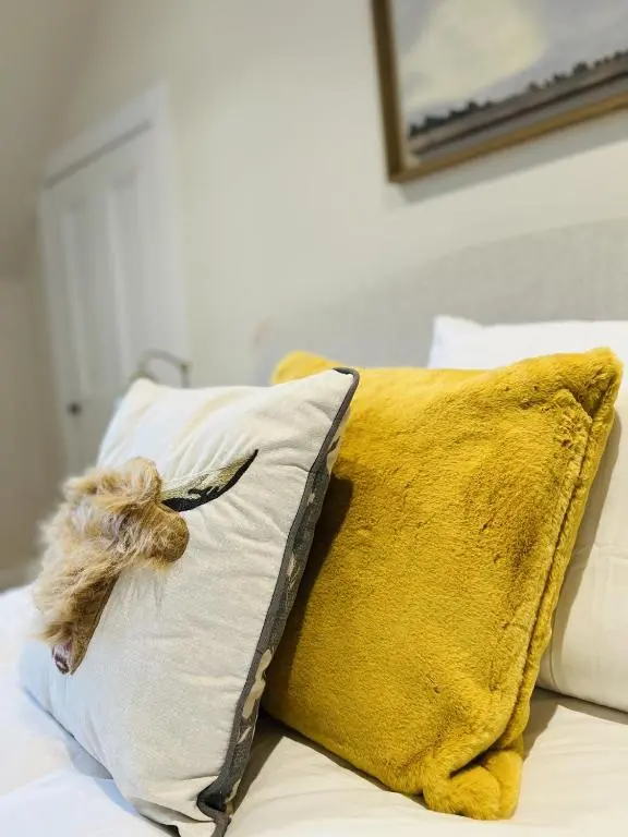 a small dog sticking its head on a pillow on a bed at St Duthus Villa Guesthouse in Tain