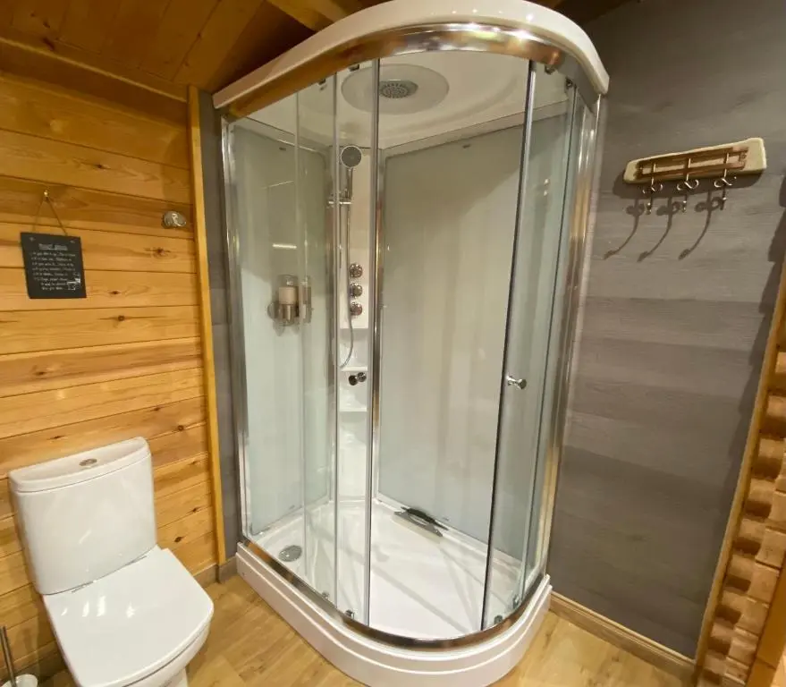 a bathroom with a shower and a toilet at Cairnhill Lodge - Award-Winning Luxury Highland Retreat in Blairgowrie