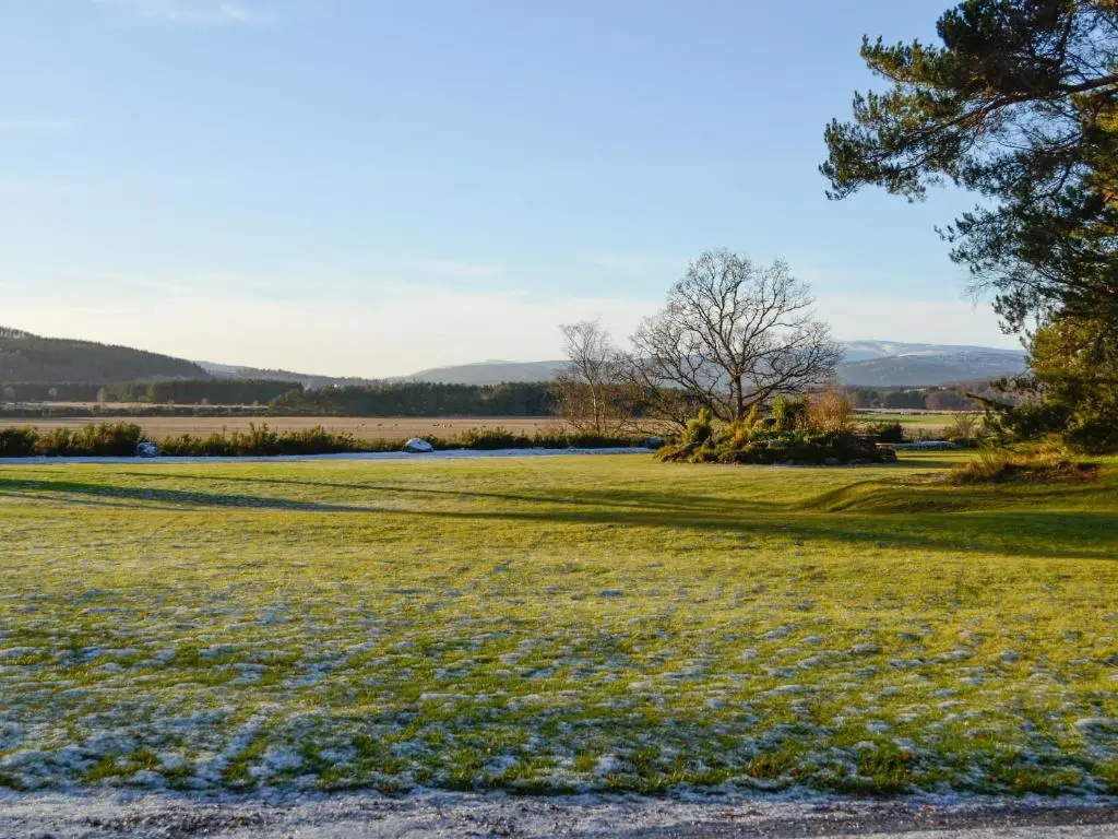 a field of grass with a tree in the foreground at Dee Valley View in Aboyne