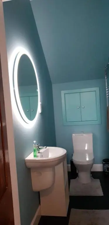 a bathroom with a sink and a toilet with a mirror at Kenneth Street Apartment in Inverness