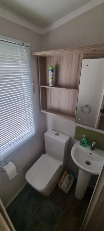 a small bathroom with a toilet and a sink at Lynton lodges in Evanton