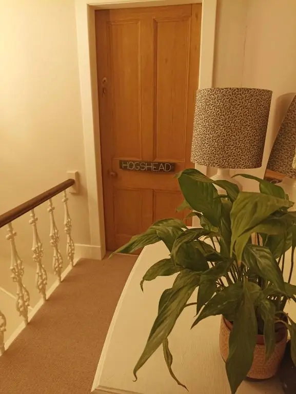 a plant sitting next to a staircase with a door at Abbeyfield B&B in Dufftown