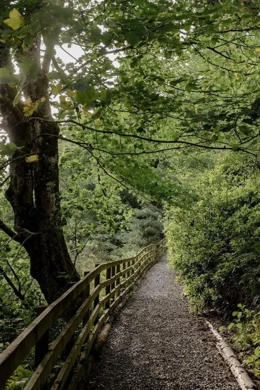 a wooden path with a fence and a tree at North Lodge & River Cabin in Banchory