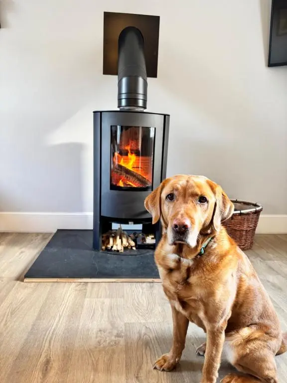 a brown dog sitting in front of a fireplace at The Stables with Hot Tub in Cray