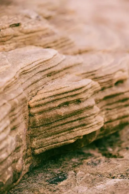 a close up of a rock with patterns on it at Dornoch Station in Dornoch
