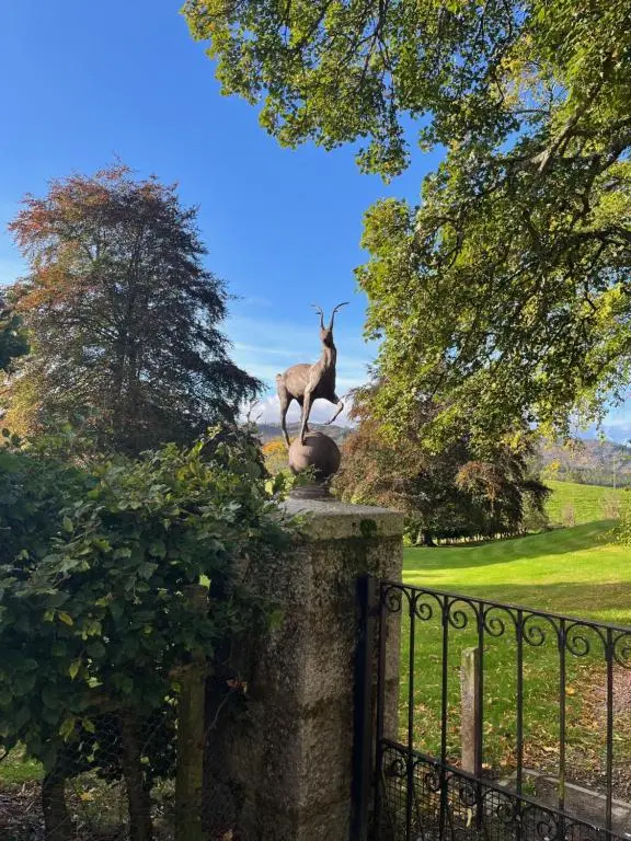 a dog standing on top of a fence at Craggan in Ballater