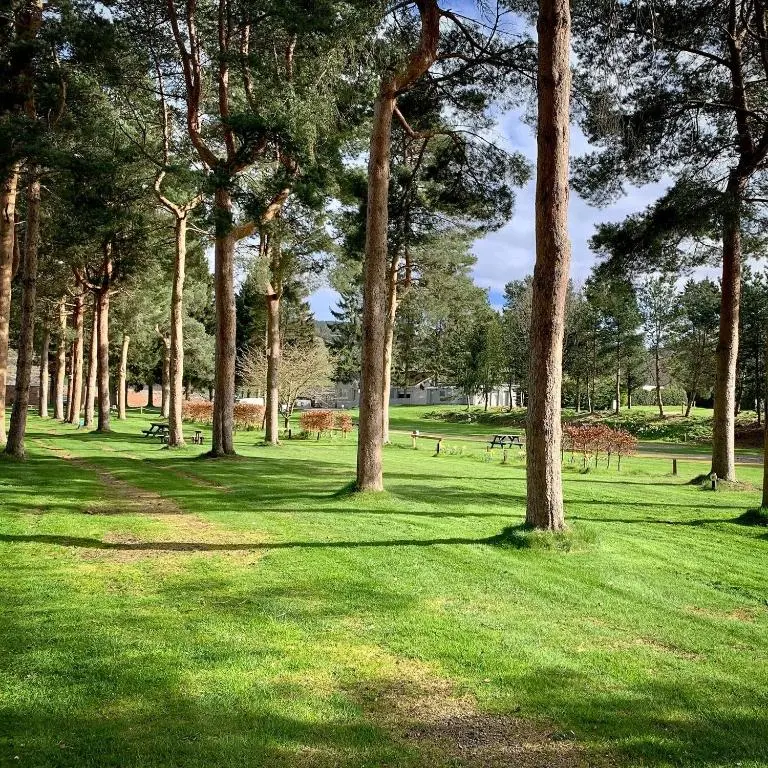 a group of trees in a park with green grass at The Spey Van - Beautiful, luxury static caravan in Aberlour
