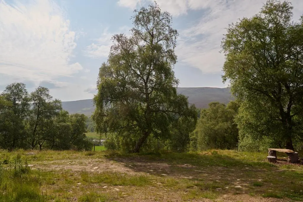 a dirt road with trees and a bench in a field at The Dell at Glenlivet in Glenlivet