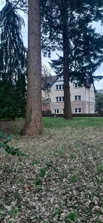 two trees in a field in front of a building at Apartment at Drummond Crescent in Inverness