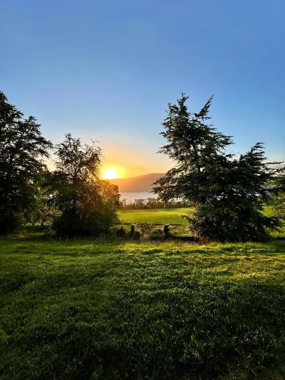 a group of animals in a field at sunset at 1 Loch Ness Heights in Inverness