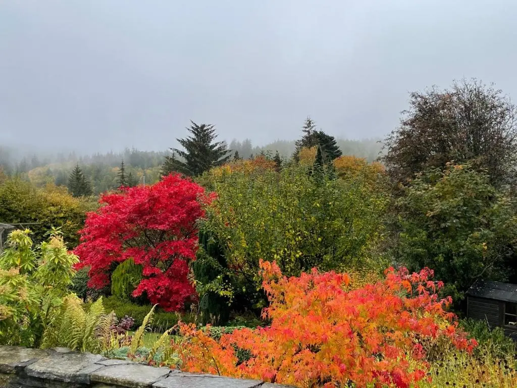 a garden with colorful flowers and trees in the background at One bed cosy Highland cottage near Beauly in Beauly