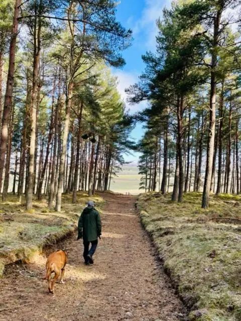 a person and a dog walking down a dirt road at The Roost in Aviemore