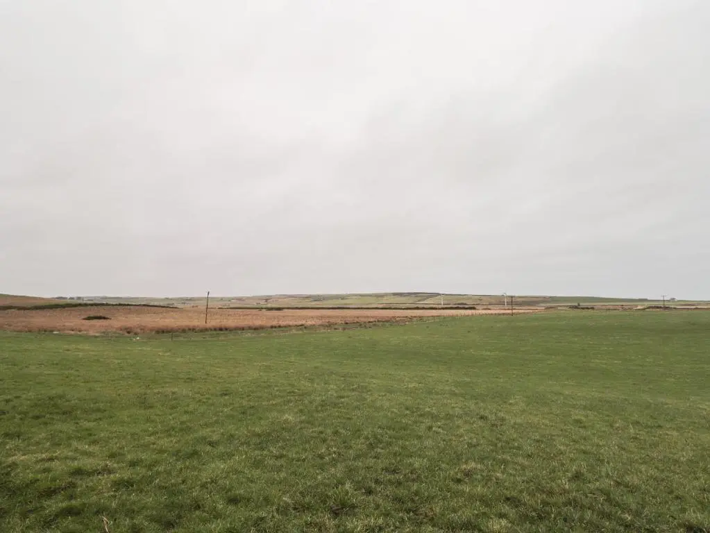 a green field with a horse in a field at Station House in Lybster