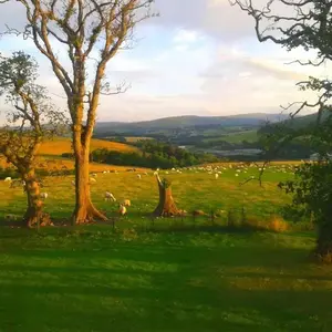 Broomhead Cottages