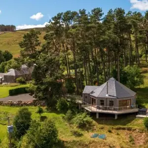 Scots Pine Treehouse