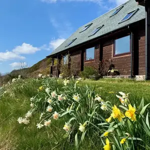 The Lodge
