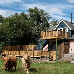 Beautiful dog friendly lodge with hot tub