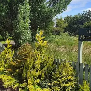 Meadows 2
